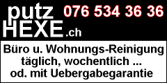Putzhexe - Reinigung Bern